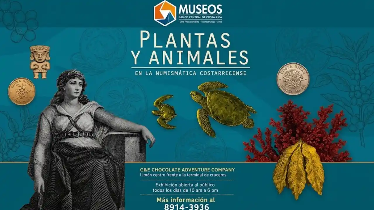 Arte, Naturaleza e Historia: Llega a Limón la exhibición itinerante de Numismática del Banco Central