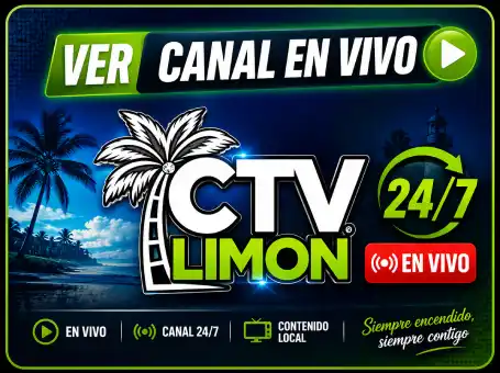 TV en vivo
